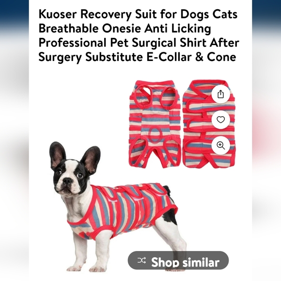 Recovery suit for dogs/cats size small - Picture 1 of 5